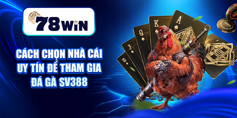 Cách chọn nhà cái uy tín để tham gia đá gà Sv388