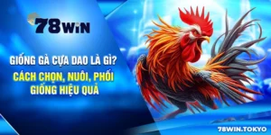 Giống Gà Cựa Dao Là Gì? Cách Chọn, Nuôi, Phối Giống Hiệu Quả